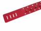 Preview: Red Leather Collar With Leash