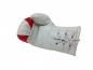 Preview: Austria Mini Boxing Gloves