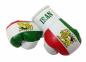 Preview: Iran Mini Boxing Gloves