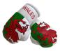 Preview: Wales Mini Boxing Gloves