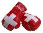 Preview: Switzerland Mini Boxing Gloves