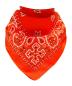 Preview: XL Bandana Scarf Paisley Orange