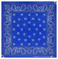 Preview: Blue XL Bandana