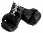 Preview: Mini Boxhandschuhe Totenkopf