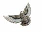 Preview: Gürtelschnalle Adler mit gespreizten Flügeln