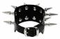 Preview: Rocker Armband 2-reihig Spike Nieten