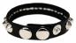 Preview: Kunsteder Armband 1-reihig Spitznieten