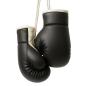 Preview: Black and white mini boxing gloves with hanging cord