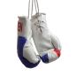 Preview: Croatia Mini Boxing Gloves
