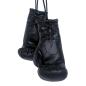 Preview: Trucker Mini Boxing Gloves