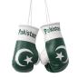 Preview: Pakistan Mini Boxhandschuhe Vorderseite
