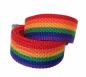 Preview: Rainbow Canvas Belt