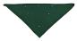Preview: Dreieckstuch Grün
