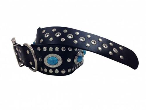 Bondage Neckband With Leash