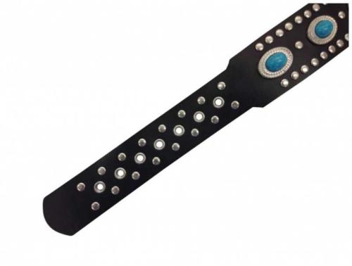 Bondage Neckband With Leash