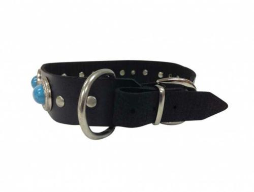 Bondage Leash With Neckband