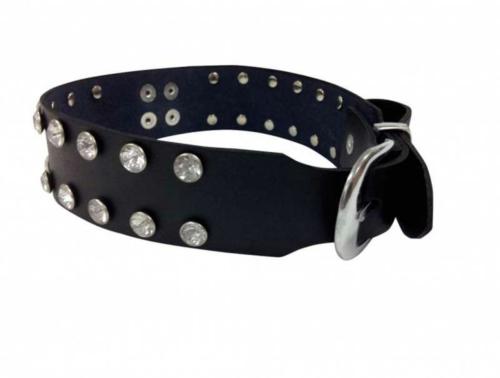 Fetish Neckband