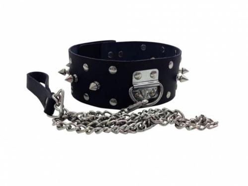 Leather Collar With Leash