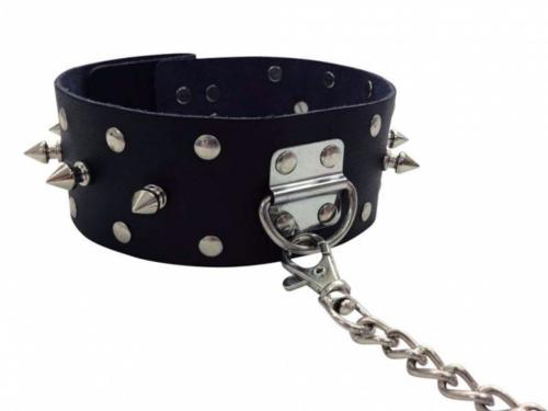 Leather Collar With Leash