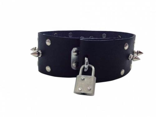 Leather Collar With Leash
