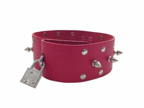 Red Leather Collar With Leash