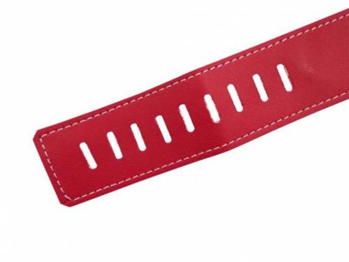 Red Leatherette Collar With Leash