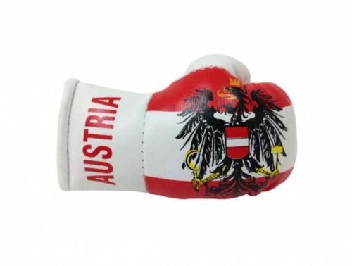 Austria Mini Boxing Gloves