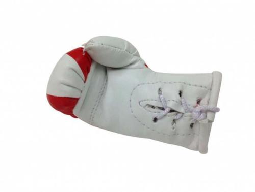 Austria Mini Boxing Gloves
