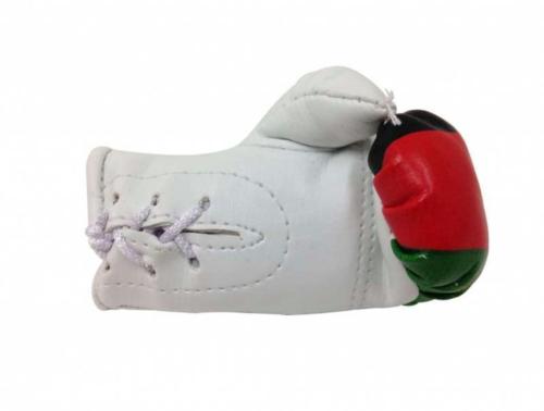 Afghanistan Mini Boxing Gloves