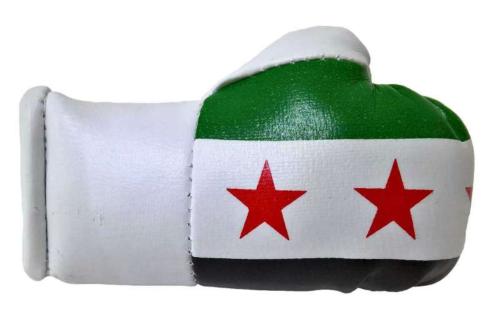 Syria Mini Boxing Gloves