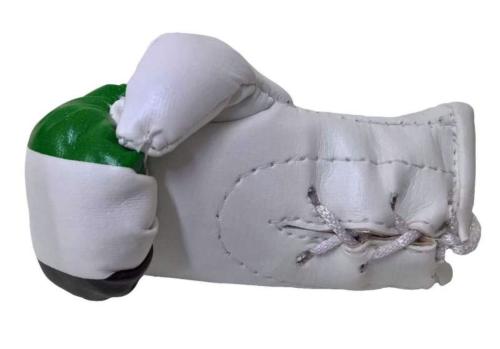 Syria Mini Boxing Gloves