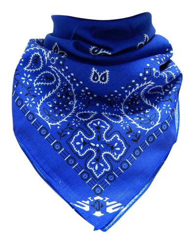 Blue XL Bandana