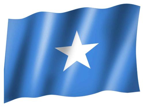 Fahne Somalia Flagge