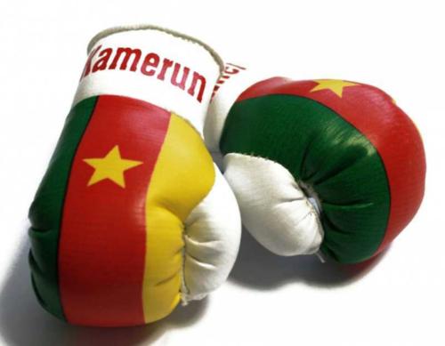 Mini Boxhandschuhe Kamerun