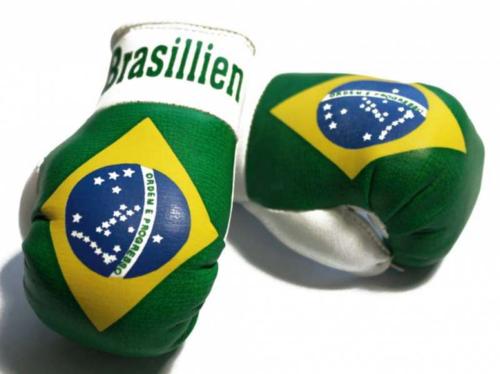 Brazil Mini Boxing Gloves