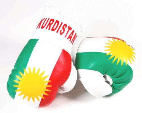 Kurdistan Mini Boxing Gloves