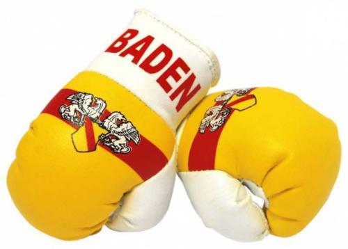 Baden Mini Boxing Gloves