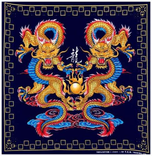 Rocker Bandana Drachen