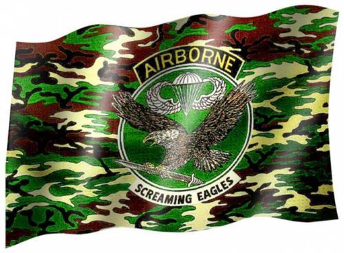 Fahne Airborne