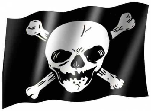 Flag Skull