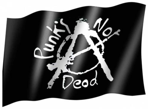 Flag Punks Not Dead