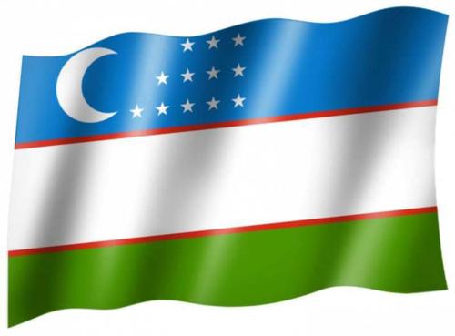 Fahne Usbekistan