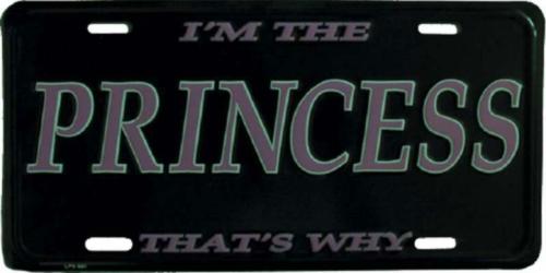Blechschild Princess