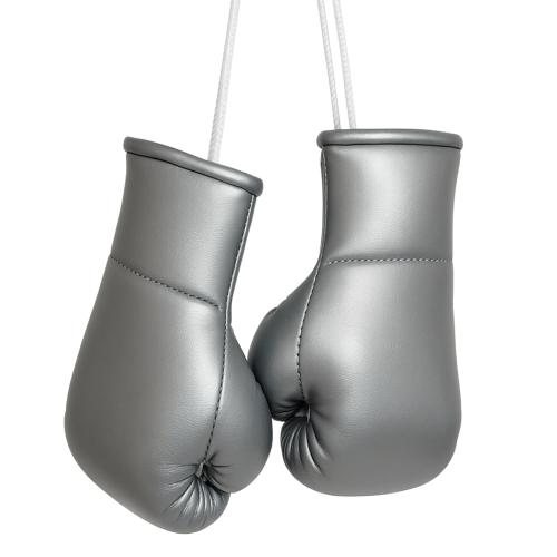 Silver Mini Boxing Gloves