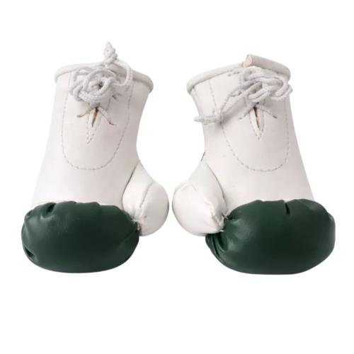 Pakistan Mini Boxhandschuhe Rückseite