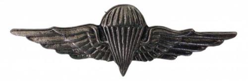 Pin Badge Parachute Badge