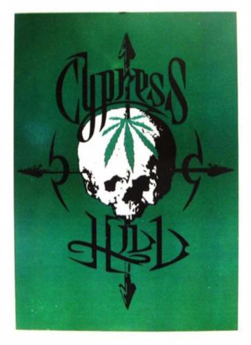 Cypress Hill Skull Postcard