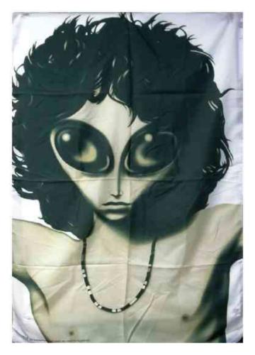 Jim Morrison Alien Posterfahne