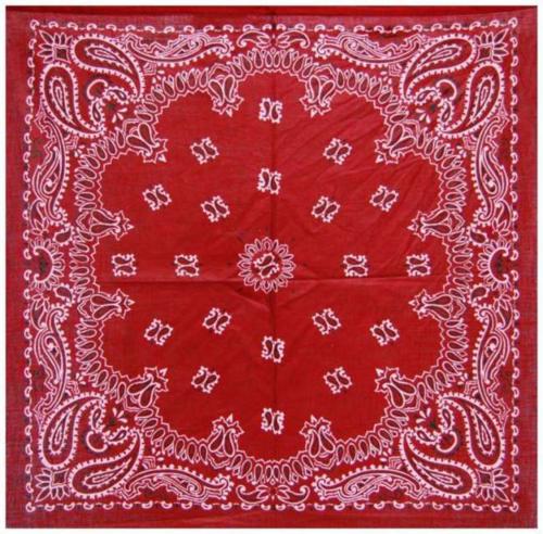 Paisley Bandana Head Wrap Scarf