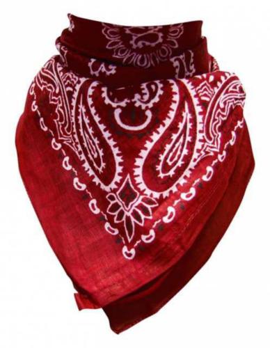 Bandana Scarf Paisley Wine Red